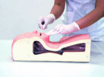 M85 Airway Suction Trainer - Image 4