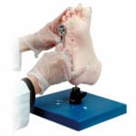 M66 Foot Care Simulator
