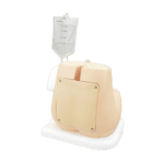 M43B Lumbar Puncture Simulator ⅡA Dark Tone - Image 3