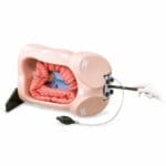 Kyoto Kagaku Colonoscope Training Model