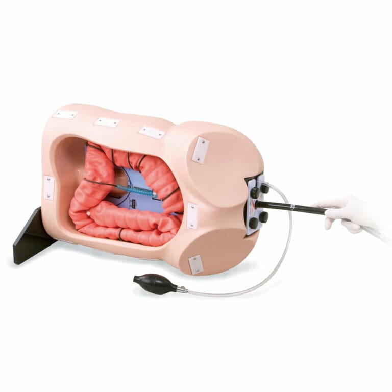 Kyoto Kagaku Colonoscope Training Model