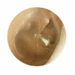 MW12 EAR Examination Simulator II - Image 3