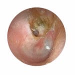 MW12 EAR Examination Simulator II - Image 2