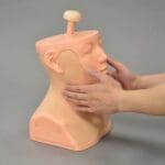 MW30 Head and Neck Palpation Trainer - Image 2