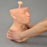MW30 Head and Neck Palpation Trainer - Image 3
