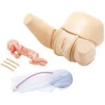 MW36 Vaginal Delivery Assistance Simulator