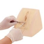MW37 Perineorrhaphy Simulator
