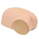 MW38 Uterine Involution Assessment Simulator - Image 2