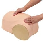 MW38 Uterine Involution Assessment Simulator - Image 5