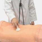 Abdominal Examination Simulator (without Auscultation) MW43