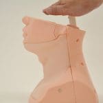 MW62 Thyroid Palpation Simulator - Image 3
