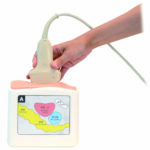 Rectal and Bladder Ultrasound Phantom US23
