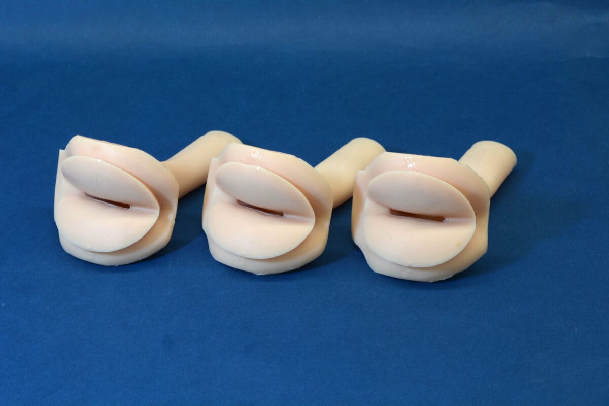 MW20 Prostate And Rectal Simulator - Image 2