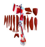 A2D Dissectible Anatomy of Arm (parts)