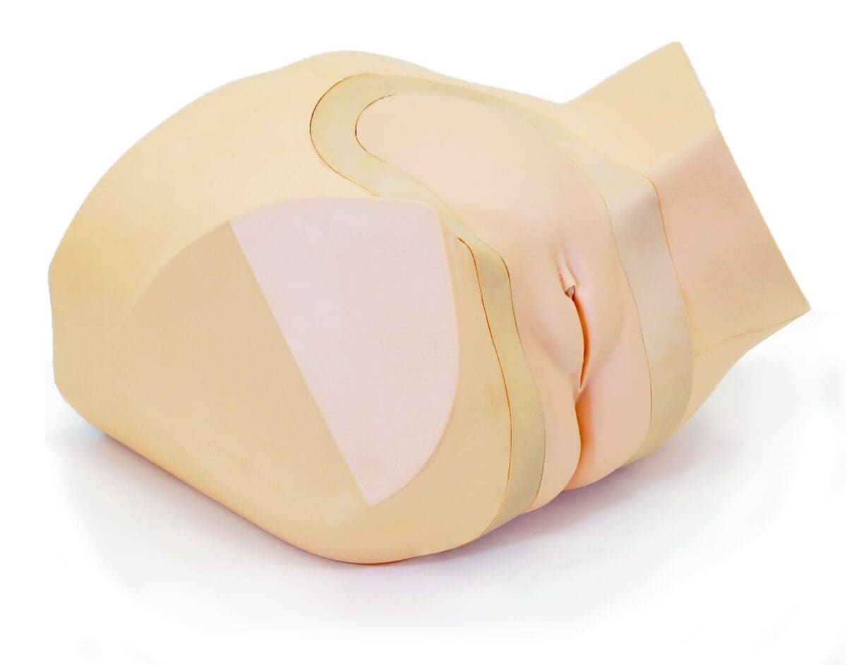 Female Pelvic Ultrasound Phantom US-10C - Image 15