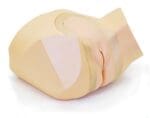 Female Pelvic Ultrasound Phantom US-10C - Image 15