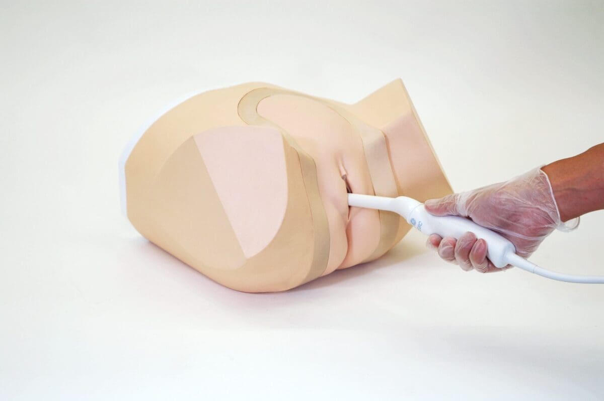 Female Pelvic Ultrasound Phantom US-10C - Image 14