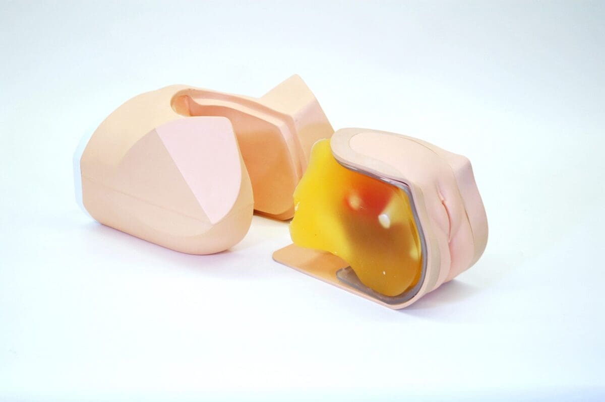 Female Pelvic Ultrasound Phantom US-10C - Image 13