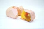 Female Pelvic Ultrasound Phantom US-10C - Image 13