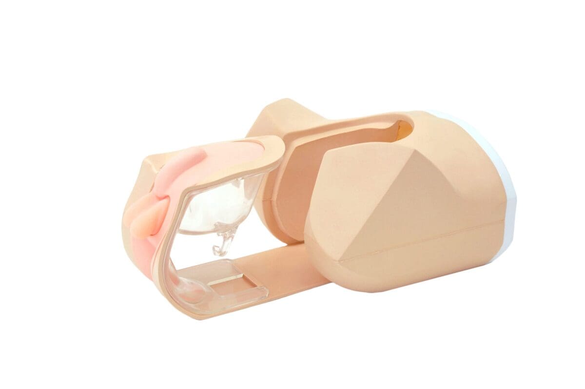 Normal Scrotum Ultrasound Phantom US-11 - Image 7