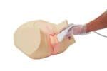 Pathological Scrotum Ultrasound Phantom US-11