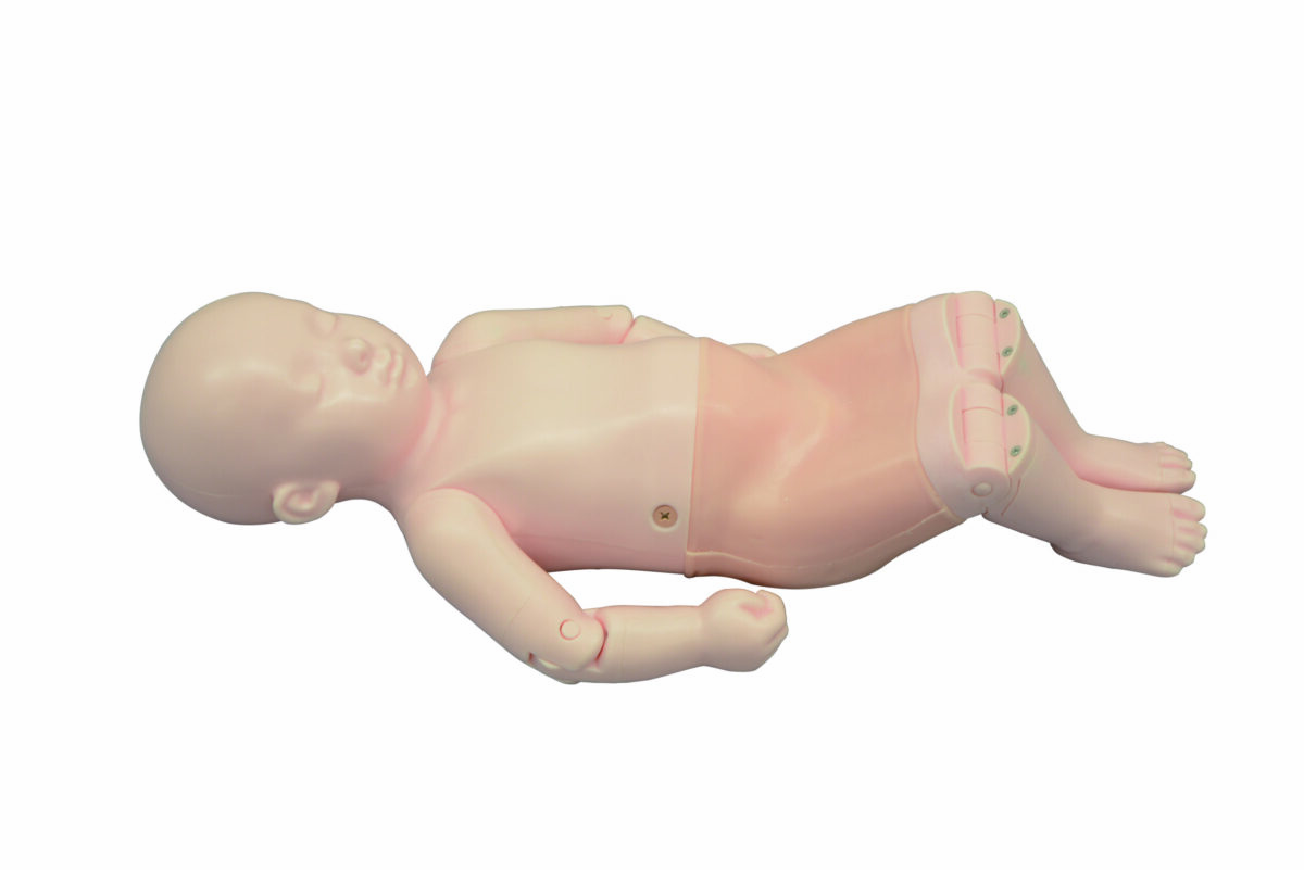 Infant Hip Sonography Training Phantom US-13 - Image 4