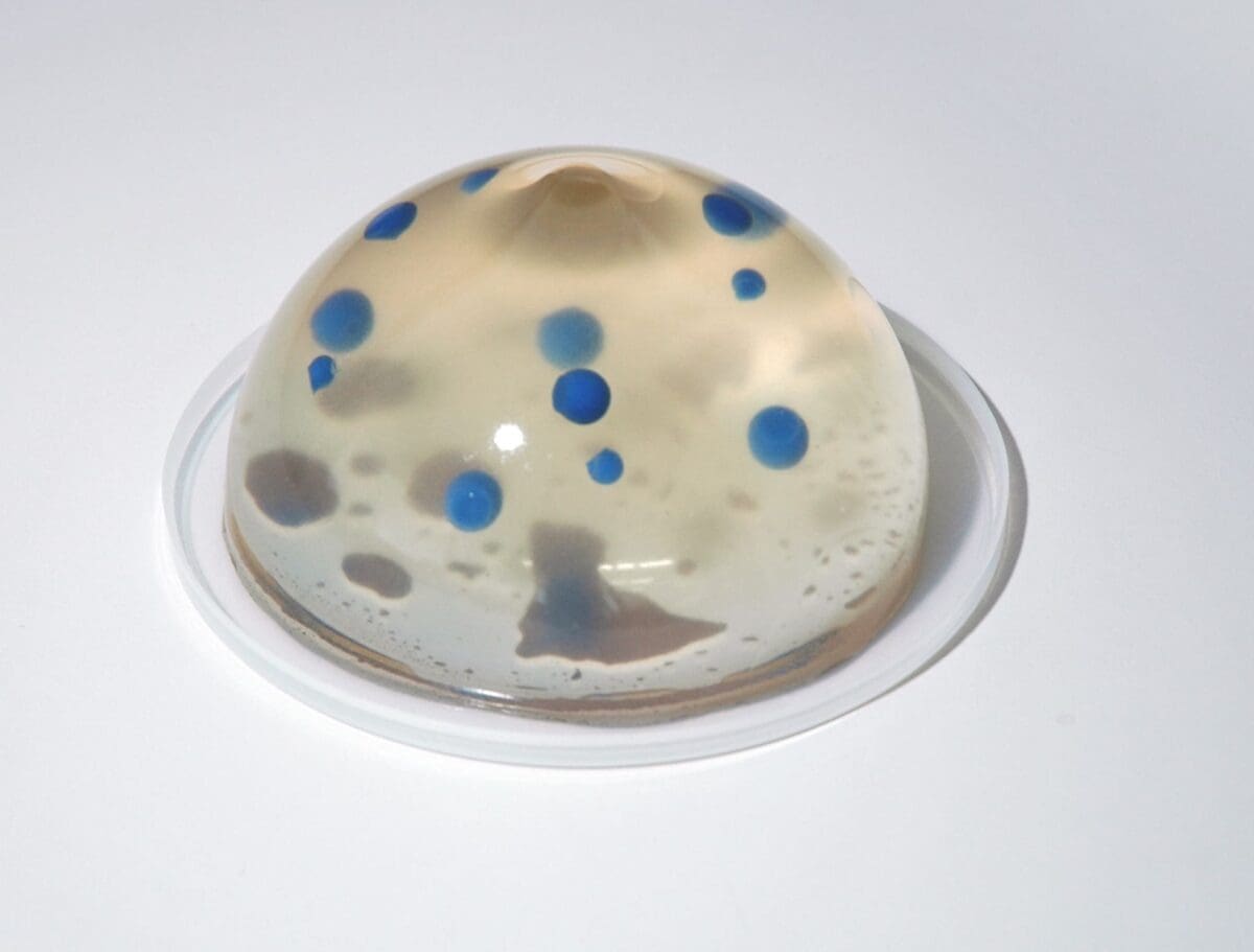 Ultrasound Guided Breast Biopsy Training Model - Duo (Transparent and Opaque) set US-9 - Image 8